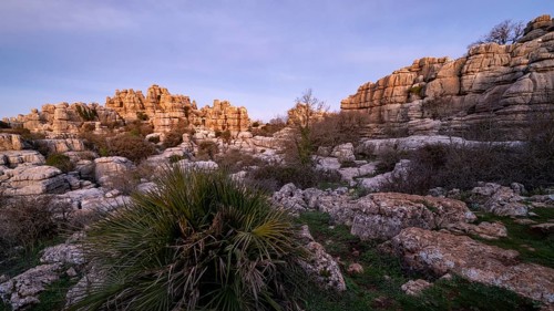 Bizarre limestone rock formations, El Torcal nature reserve, Torcal de Antequera, Malaga province,