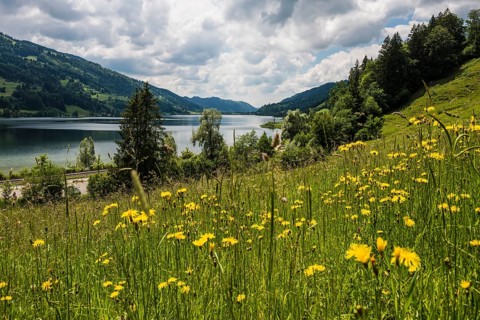 Bühl, Großer Alpsee, Immenstadt, Oberallgäu, Allgäu, Swabia, Bavaria, Germany, Europe