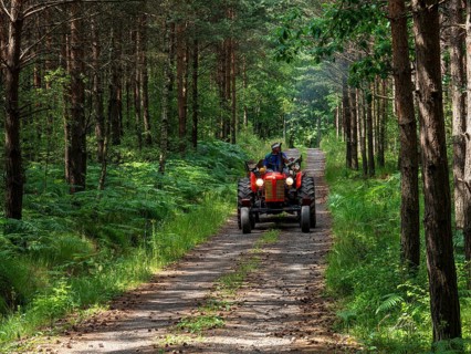 Red tractor on forest road, pine forest, Czech Republic, Europe