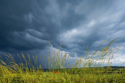 Thunderstorm cell over fields near Krebs in the Osterzgebirge, Krebs, Saxony, Germany, Europe