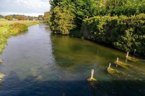 River Coln, village of Fairford, Cotswolds Gloucestershire, England, UK