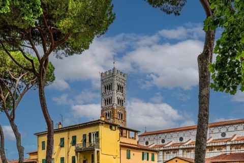 Tower of San Martino Cathedral, historic city centre, Lucca, Tuscany, Italy, Europe