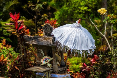 Balinese umbrella, temple, decoration, Jatiluwih, rice terrace, agriculture, farming, Hinduism,