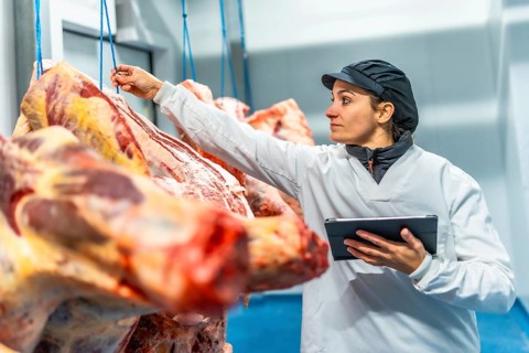 Woman using digital tablet inspecting meat in cold storage room in a meat processing factory