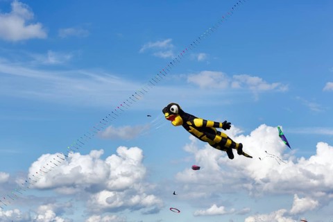 Kite, Salamander flies in the sky, Cirrus, Cumulus, kite festival in Vinsebeck, Steinheim,