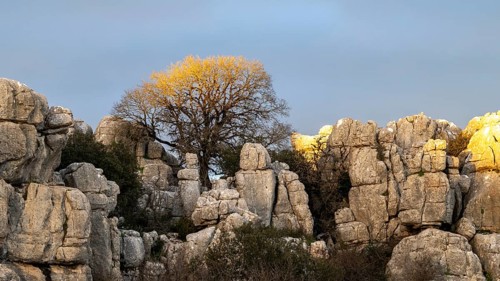 Bizarre limestone rock formations, El Torcal nature reserve, Torcal de Antequera, Malaga province,