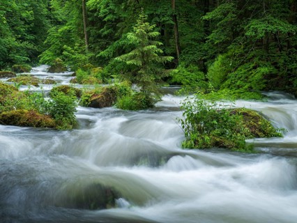 White water and rapids on the Trieb stream in the Triebtal nature reserve in Vogtland, Plauen,