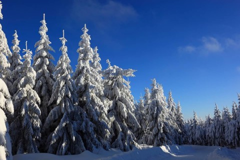 Winter landscape in the Fichtelgebirge, Bayreuth district, Upper Franconia, Bavaria, Germany,
