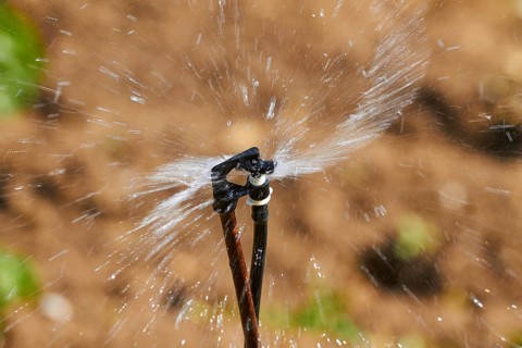 Irrigation sprinkler, field, macro, splashing water, Lassithi plateau, Lassithi, East Crete, island