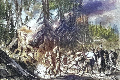 Forest Fire, Fire of a Fir Forest near St. Petersburg, 1869, Russia, Historic, digitally restored