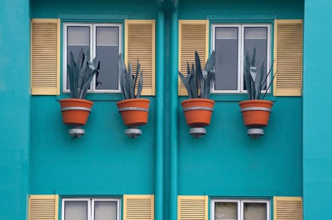 Vases with aloe vera, flower, flower vase as decoration on a house