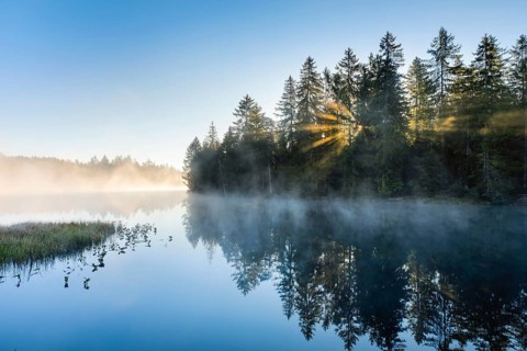 Sunrise over the mirror-smooth mire lake Étang de la Gruère in the canton of Jura, Switzerland,
