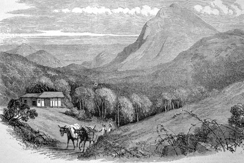 The Bay of Rio de Janeiro as seen from Mont Empereur, 1869, Brazil, Historic, digitally restored