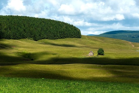 Farm in Cezallier massif, Regional Nature Park of Volcans d'Auvergne, Puy de Dome department,