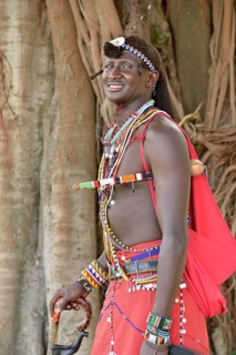 Maasai warrior wearing traditional dress, near Enkutoto, Masai Mara, Rift Valley Province, Kenya,