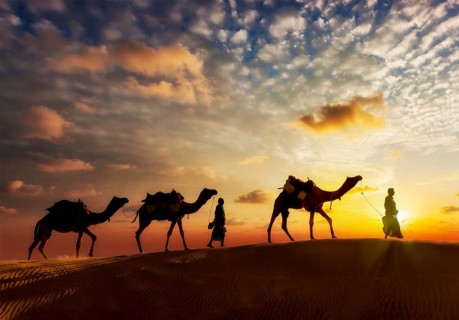 Travel background, two cameleers (camel drivers) with camels silhouettes in dunes of desert on