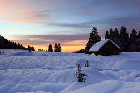 Hut, Alpstein area, Alpstein massif, Appenzell, Switzerland, Europe