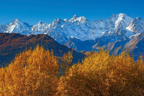 Mont Dolent, 3820m, Aguille d'Argentiere, 3901m, Aguille Verte, 4122m, view from Verbier, France,