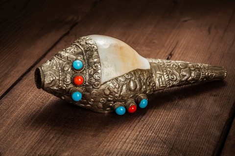 Tibetan Buddhist Conch Shell Horn Dung-Dkar on wooden background