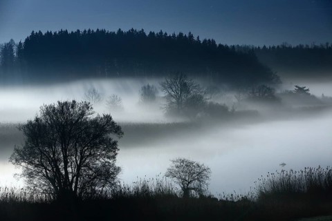 River landscape with ground fog at full moon at night, silhouettes of trees, Alz, Chiemgau,