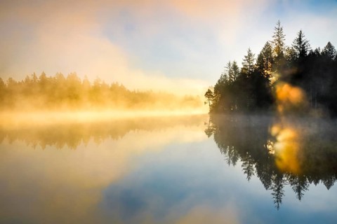 Backlit sunrise with wafts of mist over the mirror-smooth moorland lake Étang de la Gruère in the