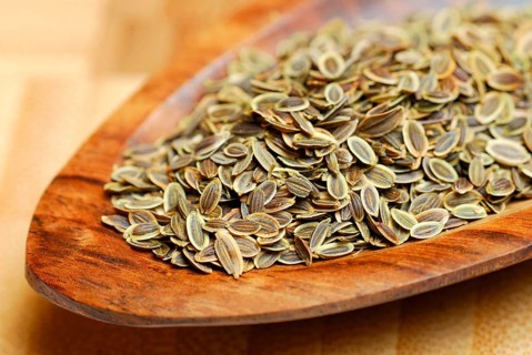 Dillseed (Anethum graveolens) , cucumber herb