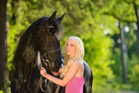 Blonde Woman in a pink dress holding a black Friesian horse on its bridle in a forest setting,