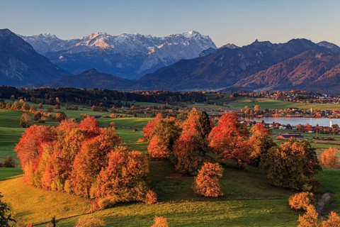 Pre-Alpine landscape with autumnal coloured trees in front of mountains, Riegsee, behind Zugspitze