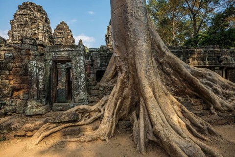 Ta Prohm, Angkor Wat, Angkor, UNESCO World Heritage Site, Siem Reap, Cambodia, Indochina, Southeast