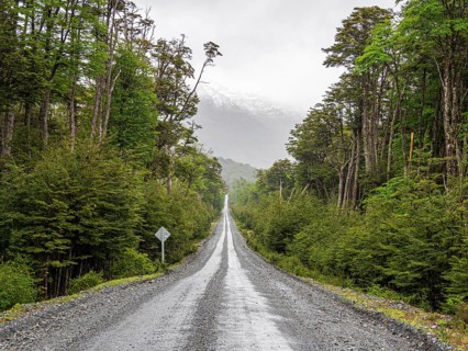 Road Carretera Austral passing cold rain forest near Villa o' Higgins, Patagonia, Chile, South