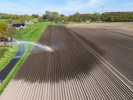 Artificial irrigation of a potato field in April, with a sprinkler system, long drought in spring