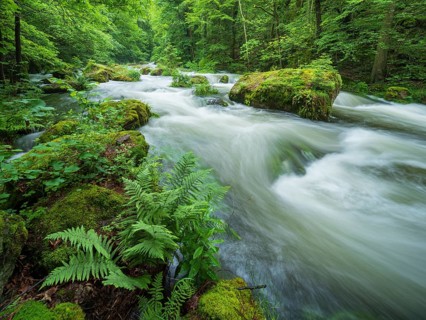White water and rapids on the Trieb stream in the Triebtal nature reserve in Vogtland, Plauen,