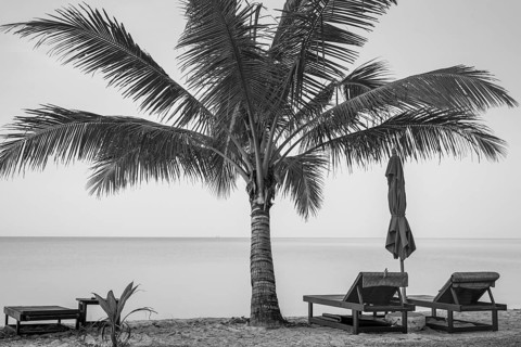 Beach with palm tree and reserved deckchairs in front of sunrise, Koh Chang, Andaman Sea, Southern