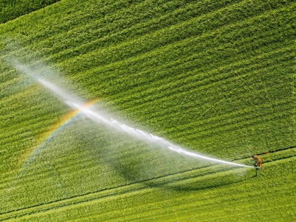 Artificial irrigation of a cereal field in April, with a sprinkler system, long dry spell in spring