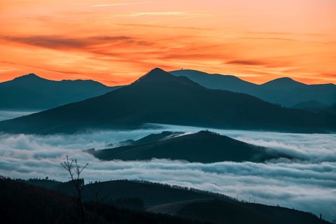 Detail of the fog about to rise in the sun Dawn cloudy one morning in the valley of Lesaka, Navarra