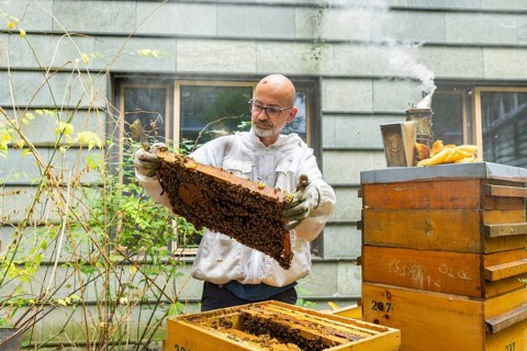 Jens Ardelt hiving a beehive. Since the beginning of 2023, 500, 000 new employees have been working