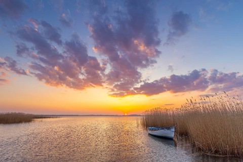 Rowing boat, rowboat along reed bed at sunset near Warthe, Rankwitz at the Lieper Winkel on the
