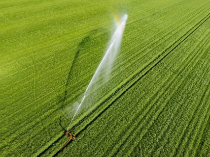 Artificial irrigation of a cereal field in April, with a sprinkler system, long dry spell in spring