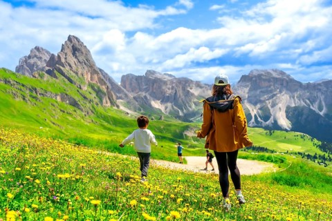 Tourists enjoying a sunny summer day walking through fields of wildflowers in seceda, dolomites,