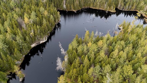 Lake in the boreal forest. Region of La Mauricie. Province of Quebec. Canada