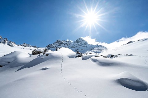 Picturesque snow-covered mountain landscape with summit Piz Kesch, Sonnenstern, ski tour Bündner