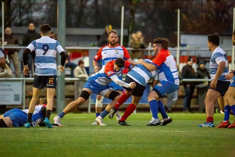 Rugby 1st Bundesliga South/West, season 2024/25, matchday 7 (catch-up match) : Heidelberger