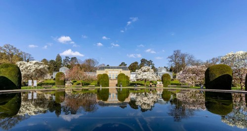 Water lily pond in the Wilhelma Zoological and Botanical Gardens in Stuttgart, with the historic