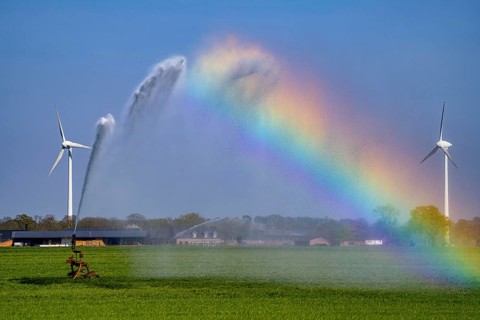 Artificial irrigation of a cereal field in April, with a sprinkler system, long dry spell in spring
