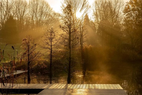 The Grugapark, Essen, botanical garden, park for leisure and recreation, by the forest lake, wooden