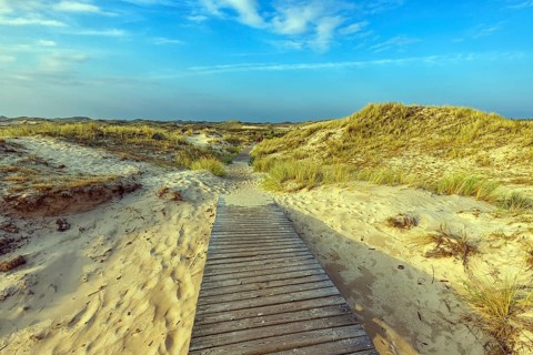 Amrum Island, landscape Germany, dune, dunes, grass, structure, form, vegetation, bphlen, path,