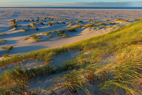 Amrum Island, landscape Germany, dune, dunes, grass, structure, form, vegetation, Amrum, Amrum