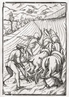 Der Tod kommt für den Bauern oder den Hausmann Woodcut by Georg Scharffenberg after Hans Holbein