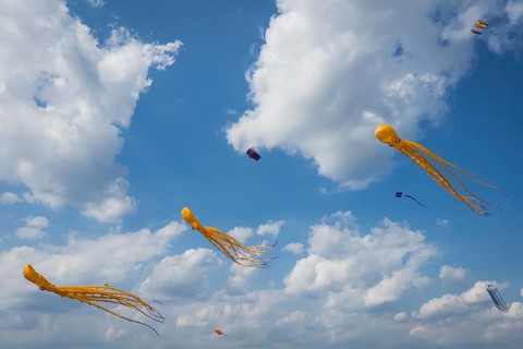 Squid as flying dragon, octupus, wind, childhood, figure, blue sky, autumn, Germany, Europe