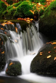 Waterfall in autumn, Kleine Ohe, Bavarian Forest National Park, Bavaria, Germany, Europe